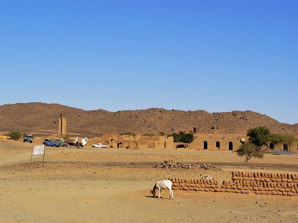 CUCCIOLODiRUSPA | TESSALIT