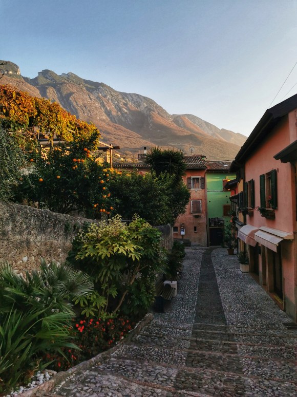 CUCCIOLODiRUSPA | Il Baldo, ed i colori dell'autunno