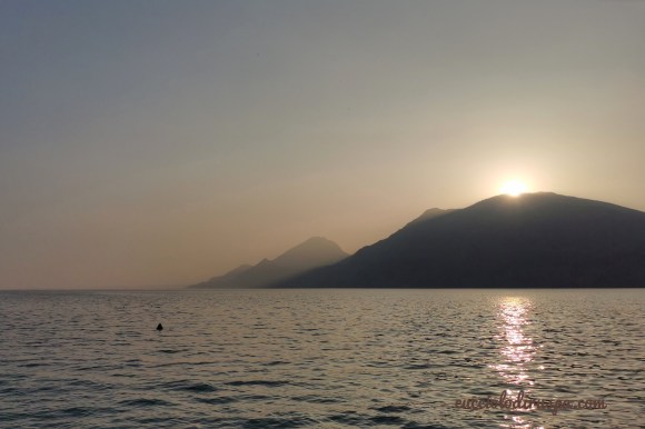 verso sera, CUCCIOLODiRUSPA