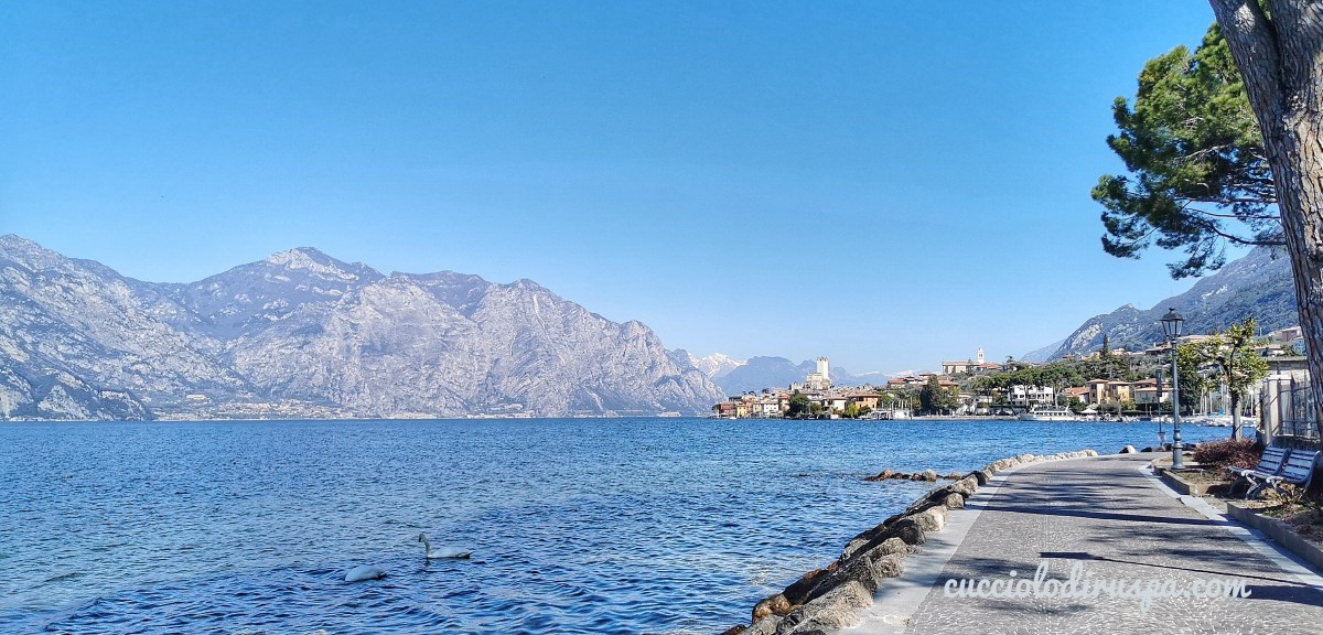 MALCESINE per CUCCIOLODiRUSPA