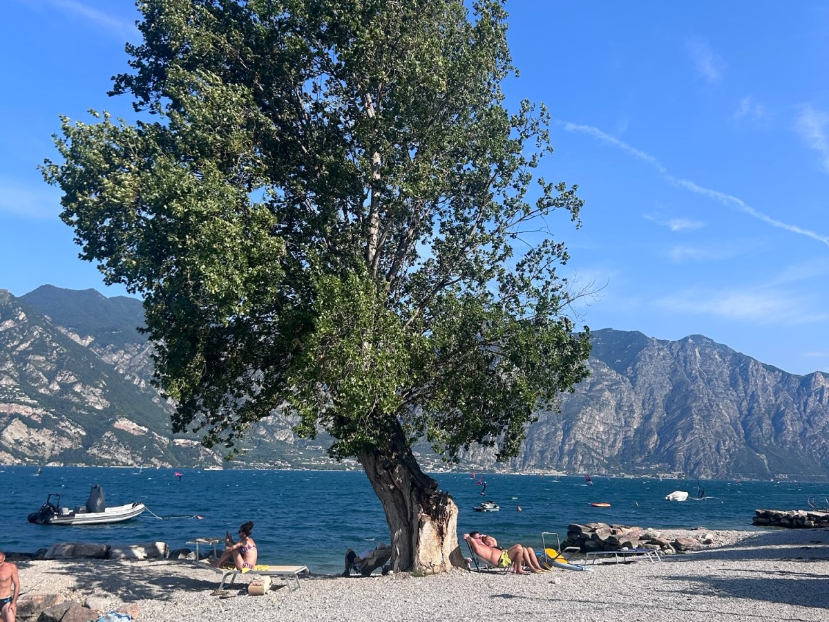Il mio lago, un teatro di magie&nbsp;quotidiane