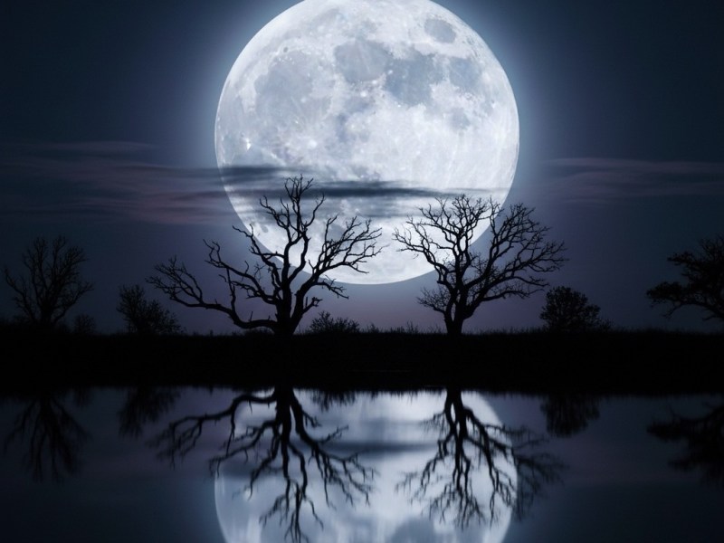 🌕 Solare ma&nbsp;lunatica