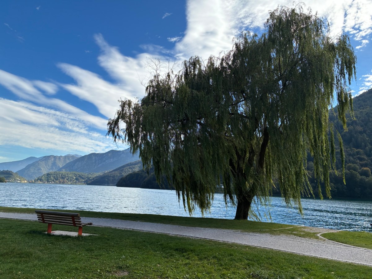 Cercare l’autunno